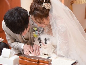 北海道札幌市の結婚式場藻岩シャローム教会画像イメージ